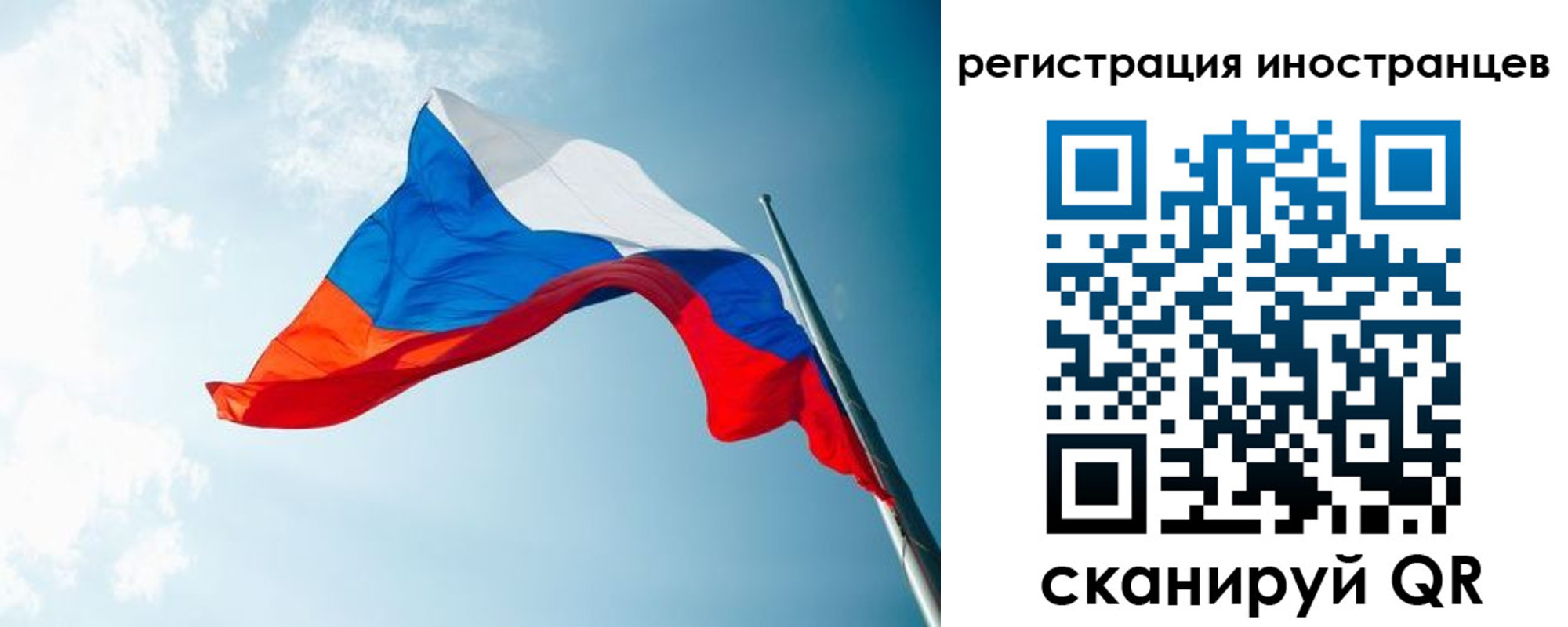 прописка паспорт в Дмитрове